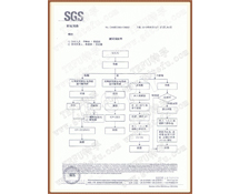 SGS检测报告3